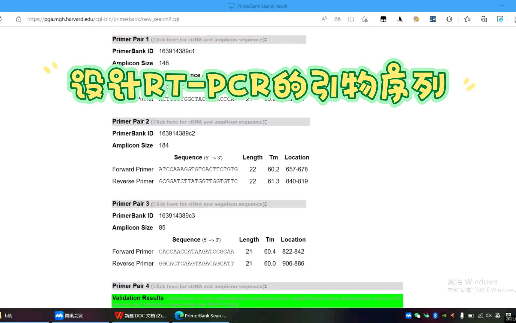 设计RTPCR的引物序列哔哩哔哩bilibili