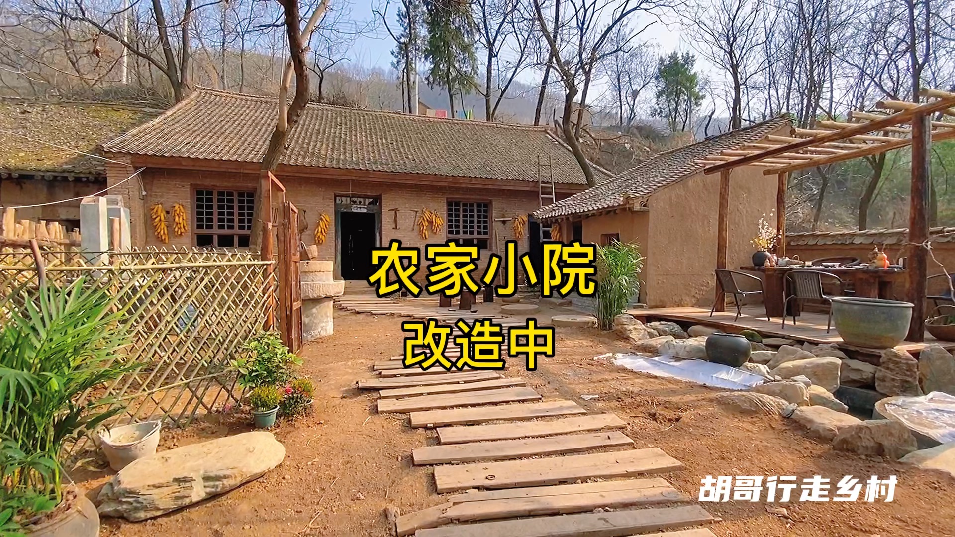 这样的乡村小院你喜欢吗?