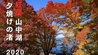 4k 大興善寺の紅葉autumn Leaves Of Daikouzenji 哔哩哔哩 Bilibili