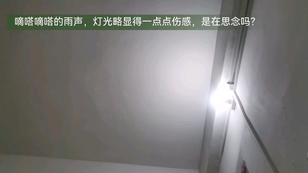 [图]下雨天的星期天