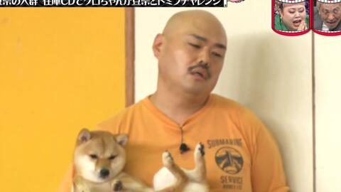 Gaki使 Gaki No Tsukai 09 936 986 哔哩哔哩 Bilibili Gaki使 Gaki No Tsukai 09 936 986 哔哩哔哩 Bilibili