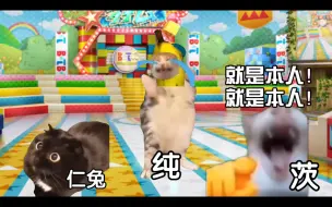 Download Video: 用猫MEME能看懂兔园巡演吗（下）