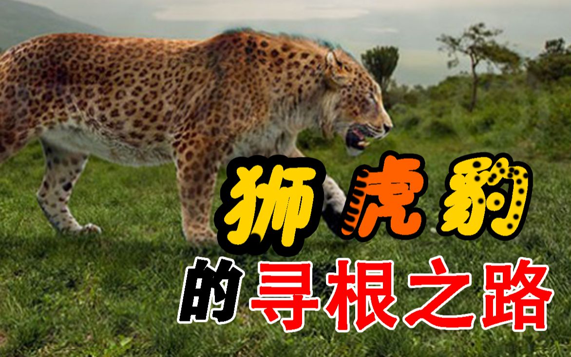 最古之豹是谁?【食肉目猫科豹族】哔哩哔哩bilibili