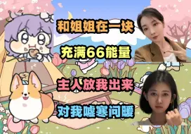 Descargar video: 【菠萝赛东】与崔婉莹斗嘴，互相炫耀姐姐和主人，被圆律主人奖励后的崔崔，又活蹦乱跳起来~