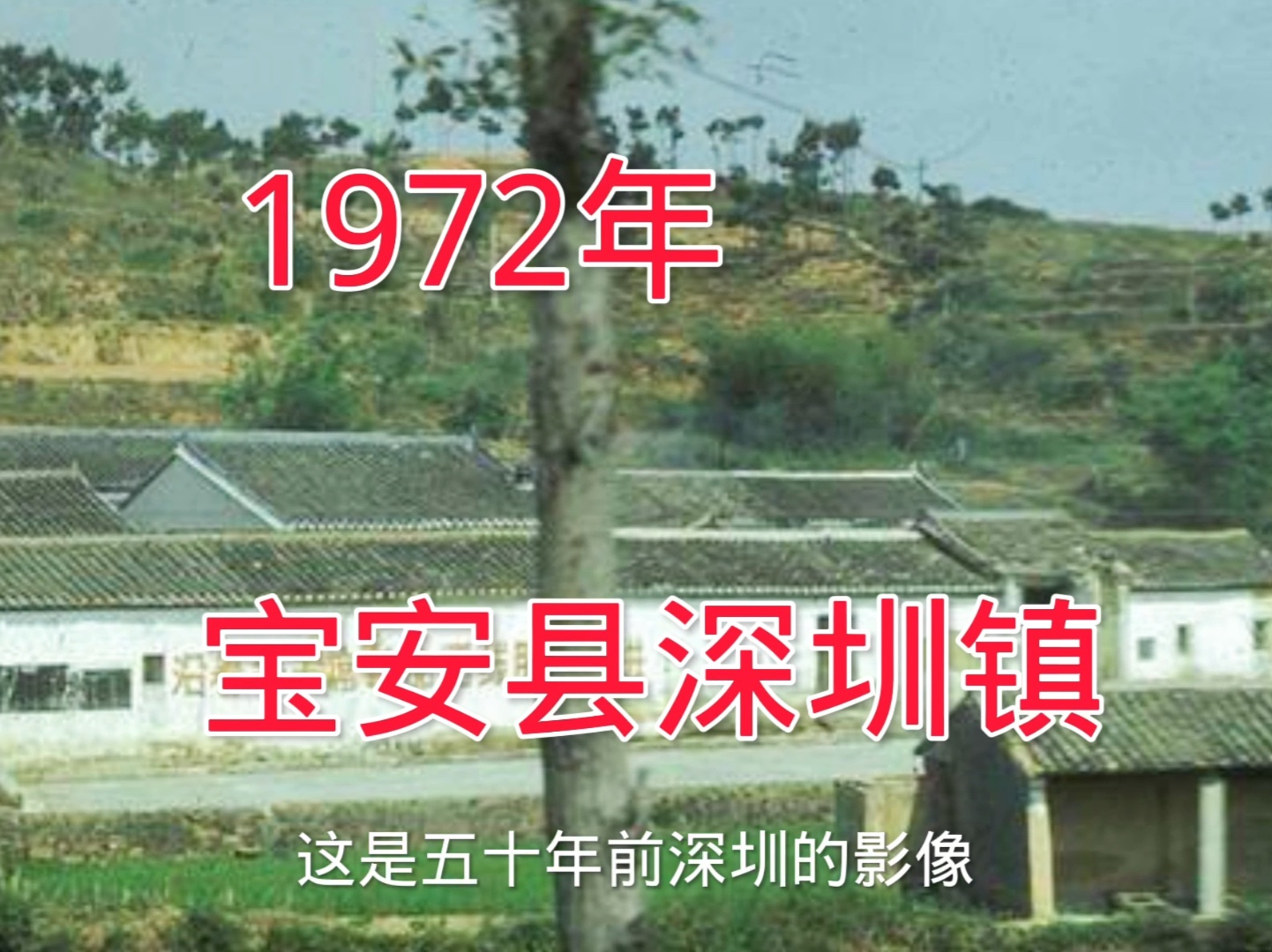 拍摄于1972年惠阳地区,宝安县深圳镇,如今已发展为一座现代化的城市.哔哩哔哩bilibili