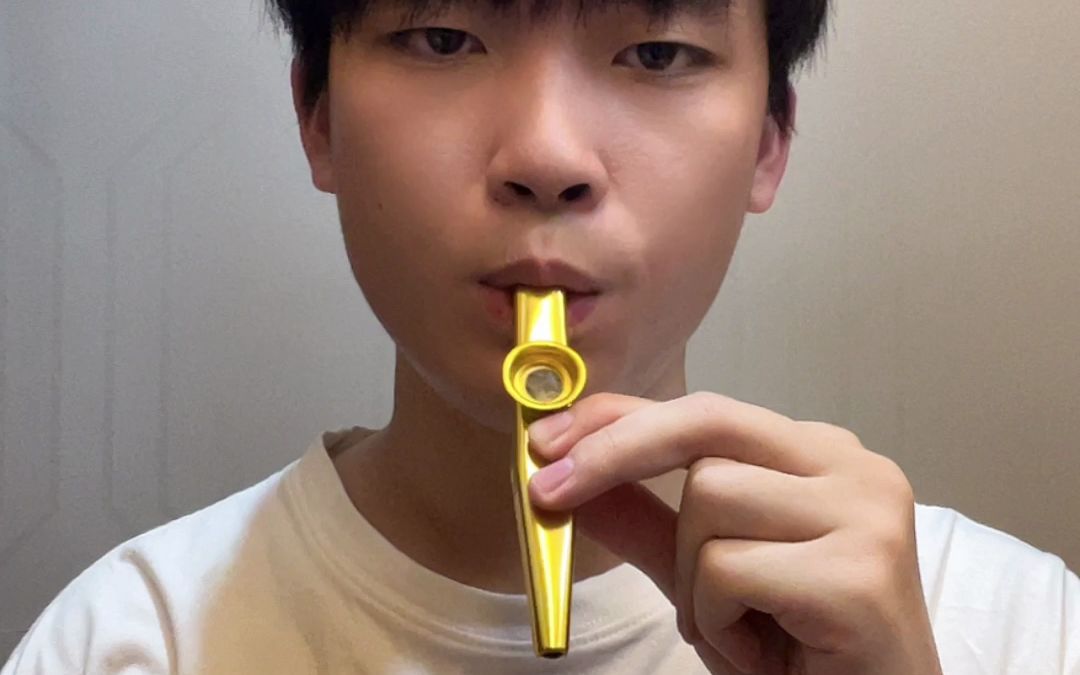 卡祖笛演奏之《平凡之路》副歌