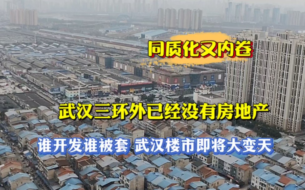 武汉三环外已经没有房地产,谁开发谁被套,武汉楼市即将大变天!哔哩哔哩bilibili