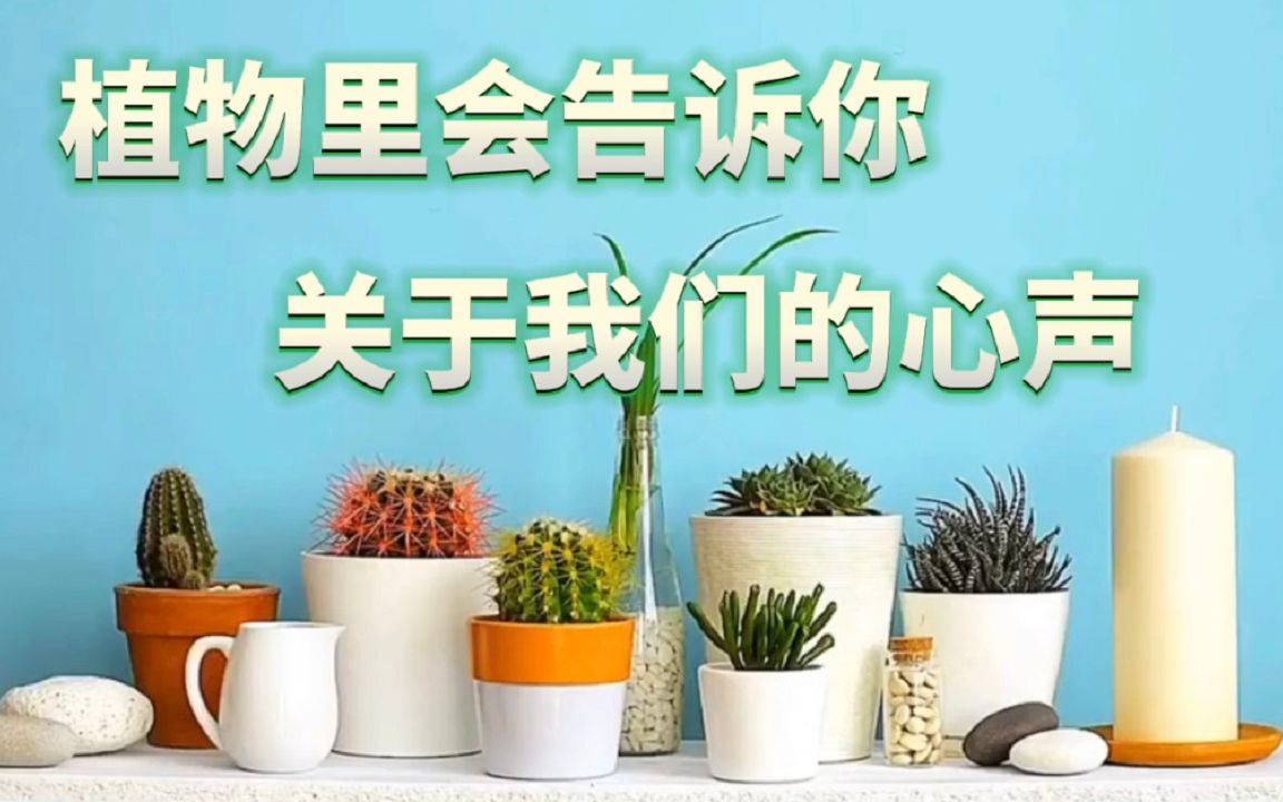 [图]植物里会告诉你，关于我们的心声！