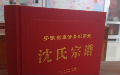 安徽省当涂县沈氏宗谱(织帘堂)哔哩哔哩bilibili