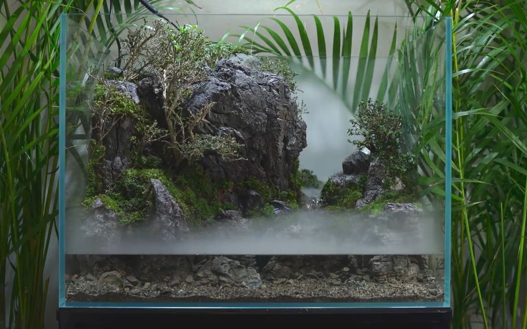 水陆缸:这溪水潺潺的造景简直就是一幅立体的画!