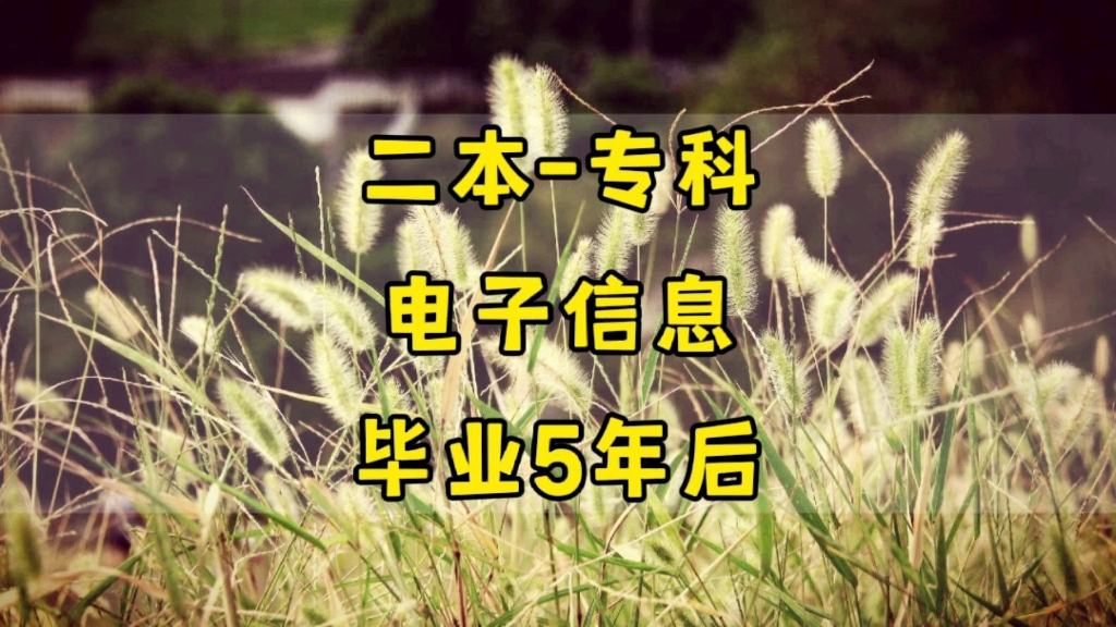 二本院校、专科专业,电子信息工程技术,毕业5年后现状哔哩哔哩bilibili