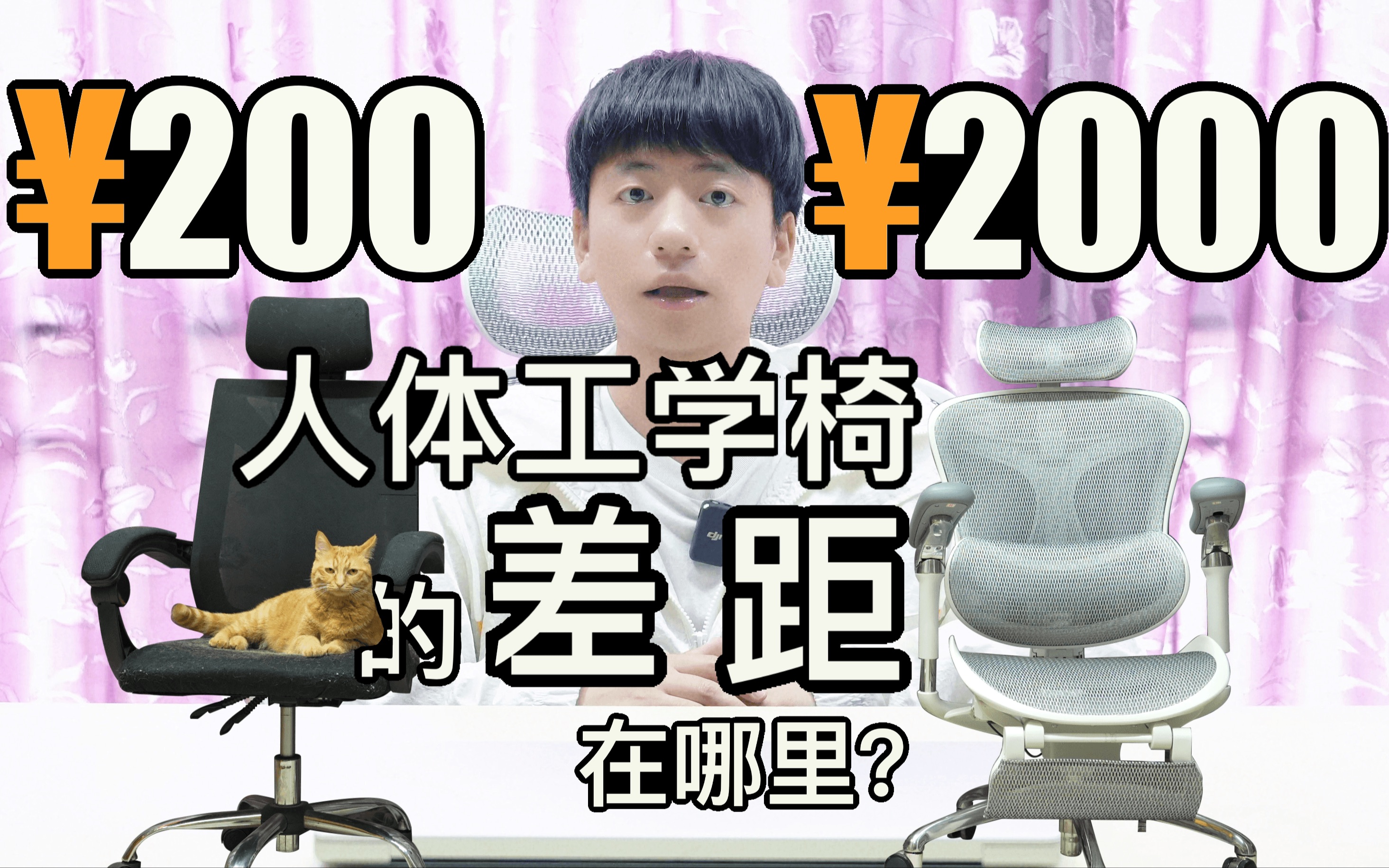 200与2000的人体工学椅差距在哪里?人体工学椅选购入门哔哩哔哩bilibili