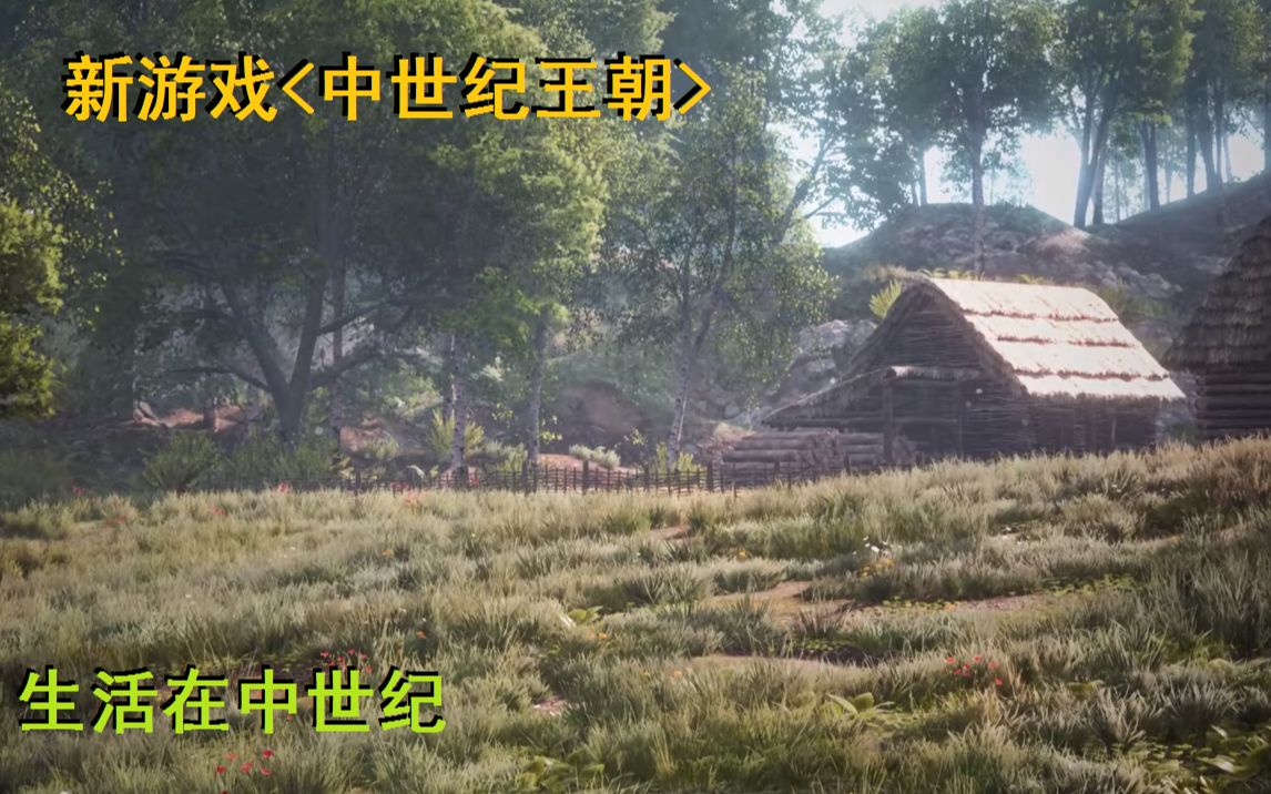 【燈火貓貓】在中世紀過過日子,新遊戲《中世紀王朝》《medieval