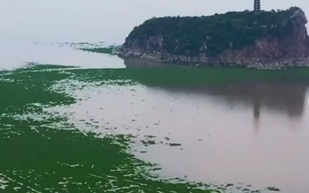 长江流域遭遇60年来最严重干旱,鄱阳湖“瘦成闪电”,湖中鞋山岛露出全貌哔哩哔哩bilibili