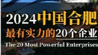 2024合肥最有实力的20个企业,你最想去哪家上班?哔哩哔哩bilibili