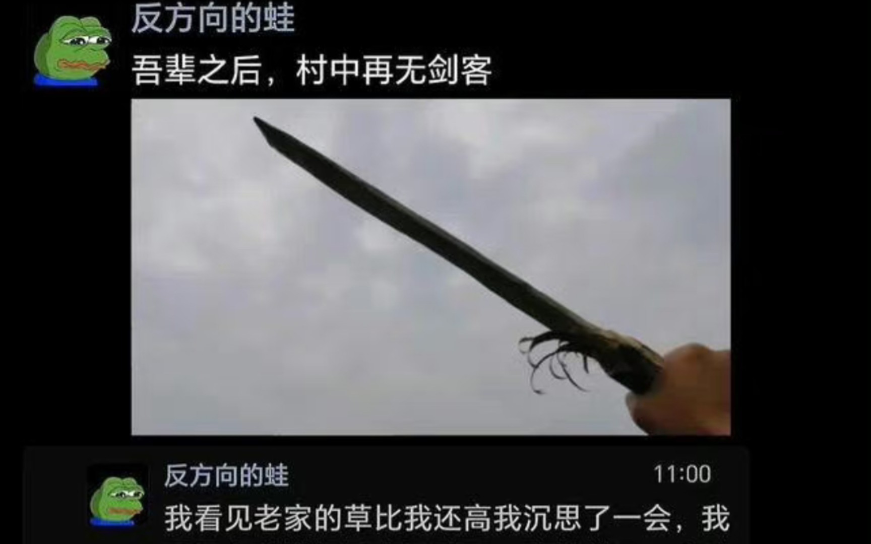 吾辈之后村中再无剑客.记得放学使用雷霆半月斩.