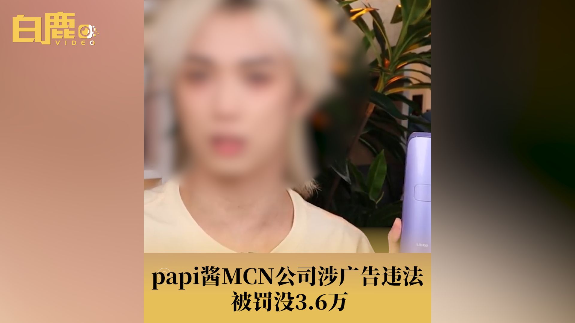 papi酱MCN公司被罚没3.6万哔哩哔哩bilibili