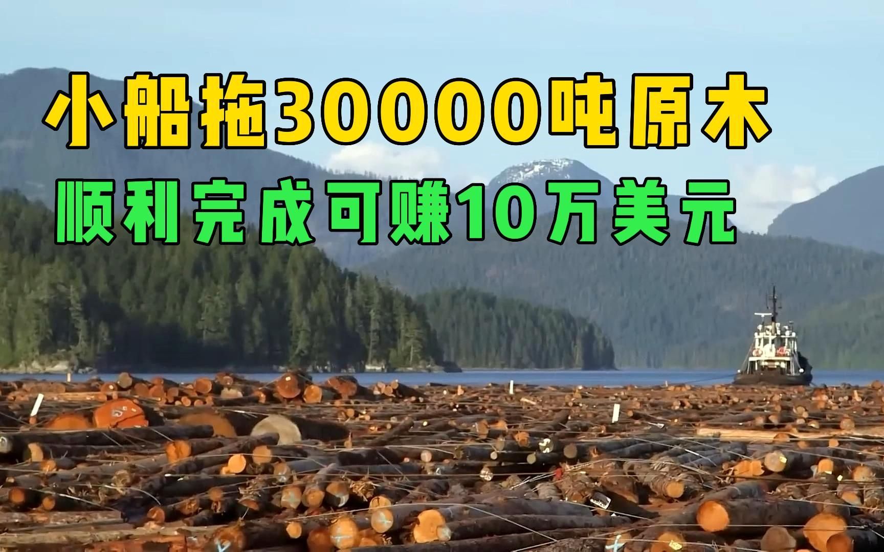 一棵树40吨以上,拖船一次拖30000吨赚10万美元,靠捡漏也能月入过万哔哩哔哩bilibili