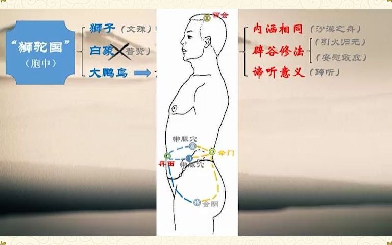 带脉如何打通哔哩哔哩bilibili