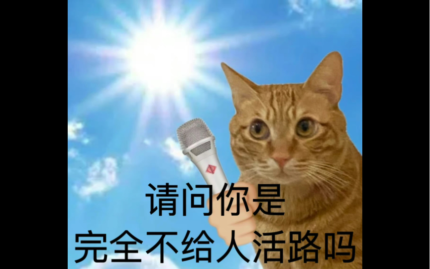 谢谢你夏天但能不能给条活路