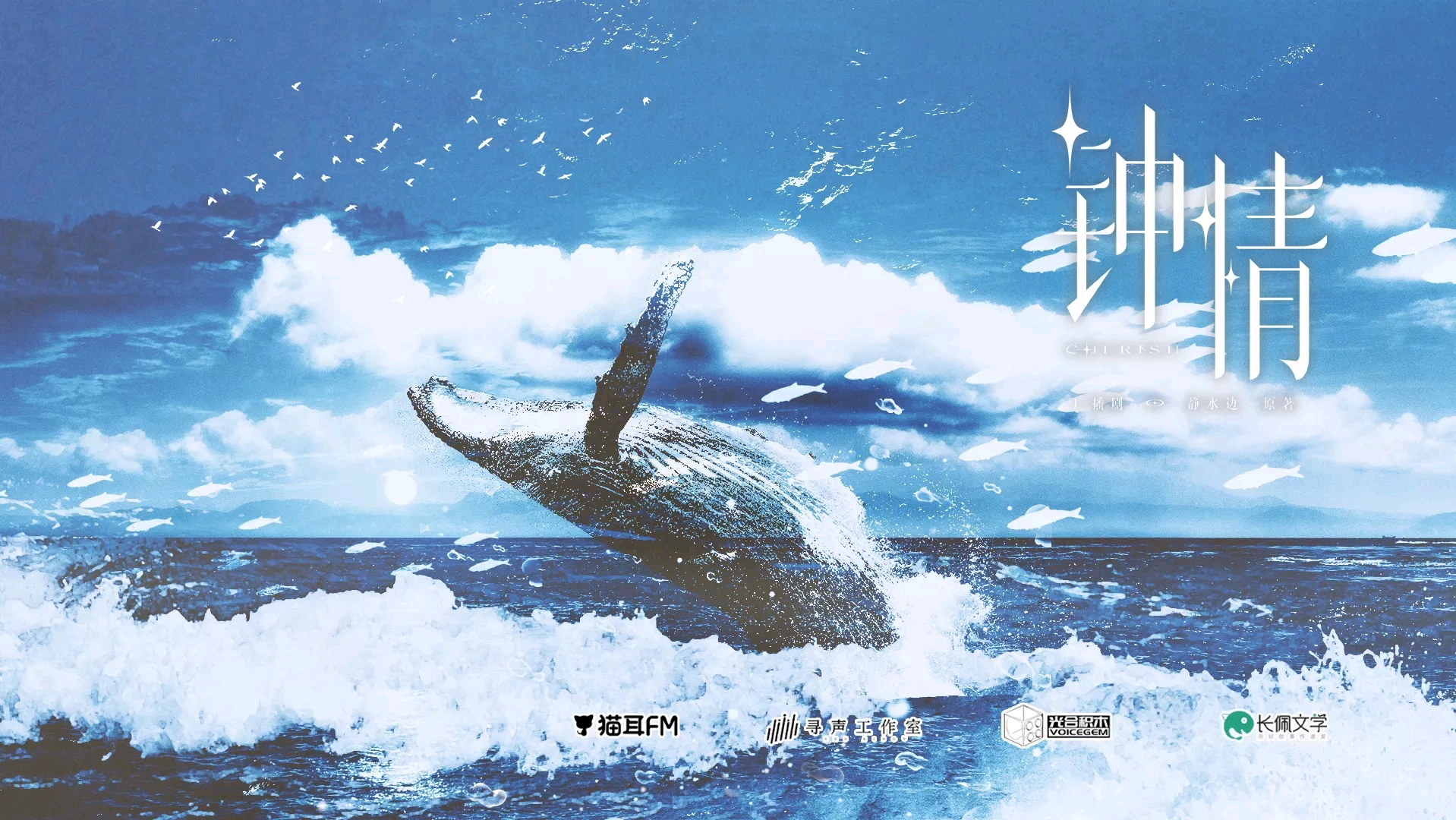 《归航》马正阳79孙路路 钟情