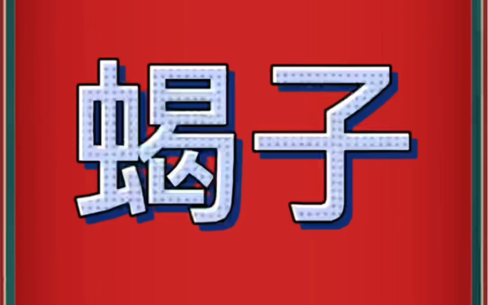 中药材批发市场蝎子行情报道哔哩哔哩bilibili