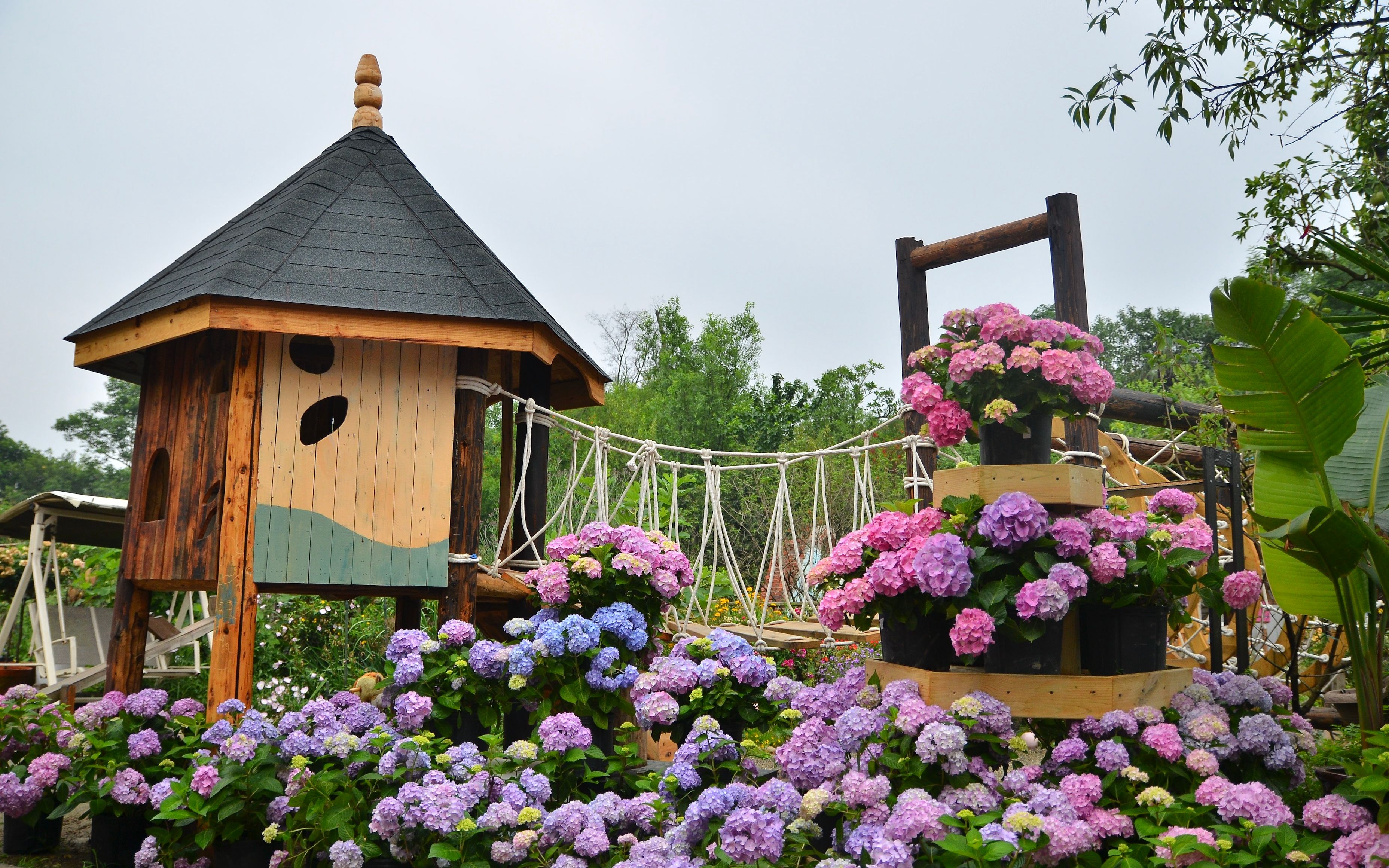 海蒂的花园10周年,我有一车花送给大家