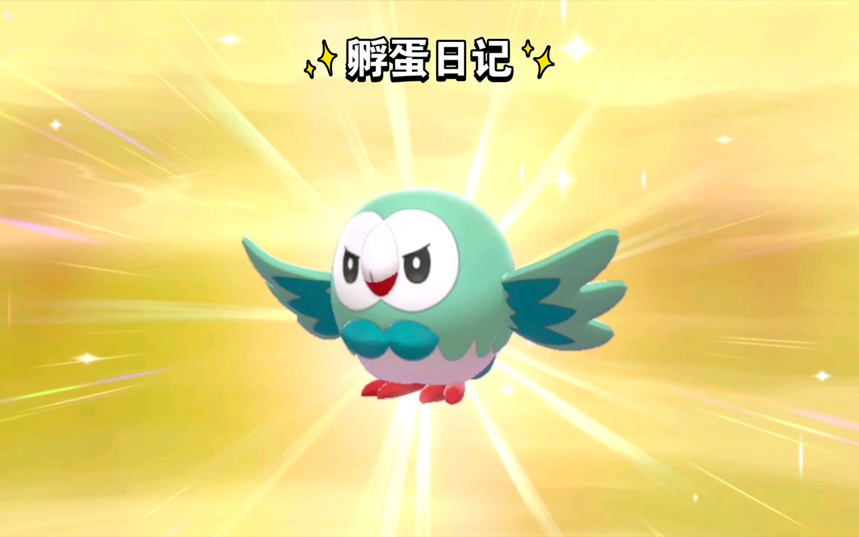 宝可梦剑盾孵蛋日记24可可爱爱木木枭