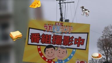 菅井友香 Yukkars ランダムカプセルトイ ハチマキ 菅井友香 | JAM BOX~TopCoat Land 2025~ presents 「菅井友香 の