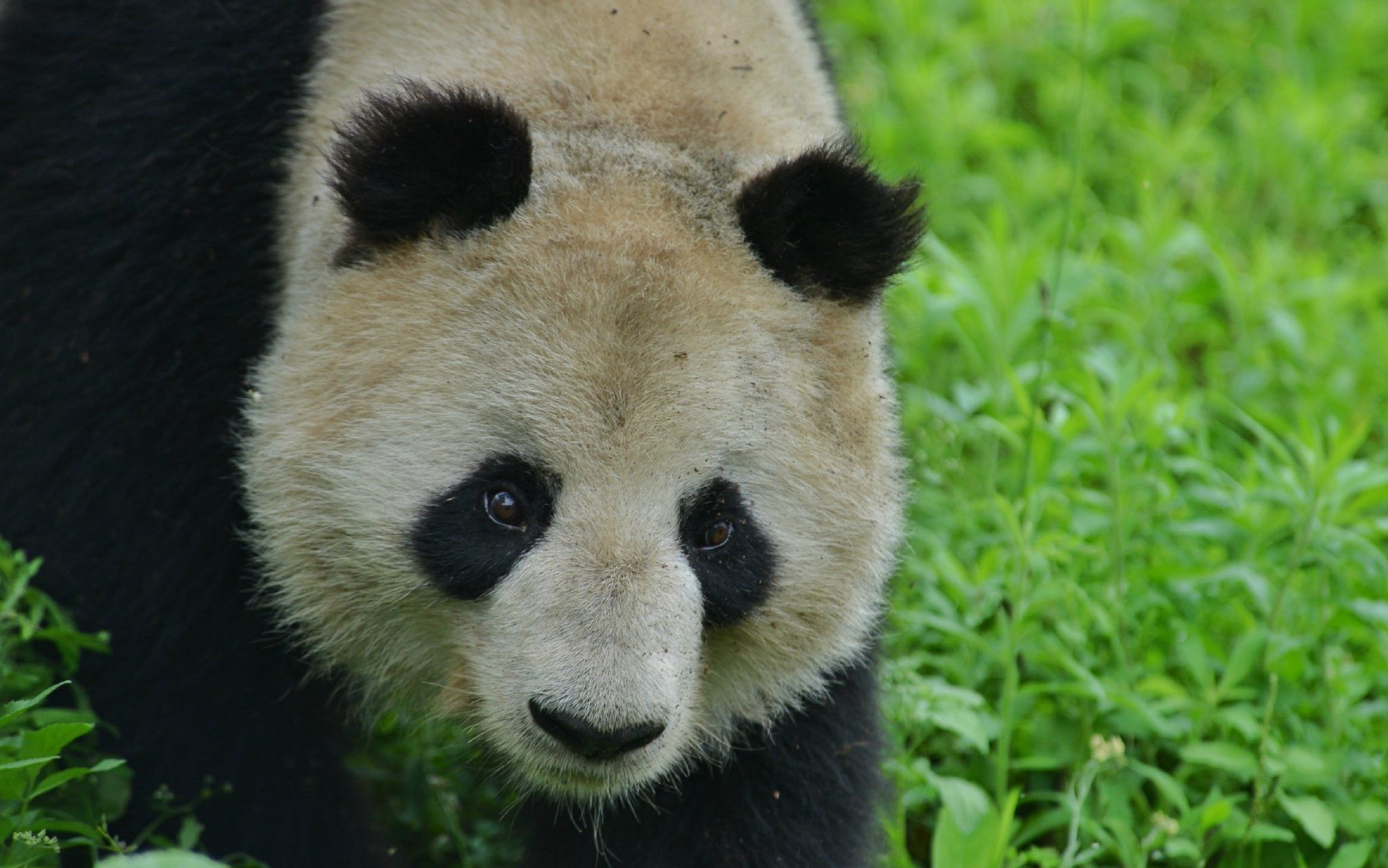 蜀兰:今天天气不错,大家和我一起嗨起来