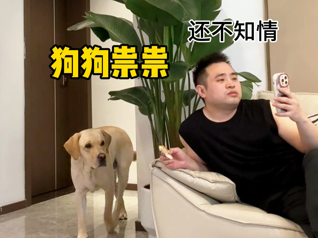 这狗子咋就狗狗祟祟