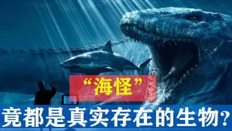 活化石皱鳃鲨 凶猛的捕食者 令鲨鱼都害怕 哔哩哔哩 Bilibili