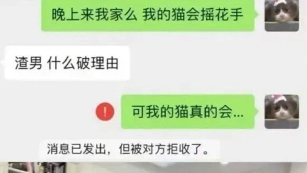 【梗图】超难绷合集#473-一座猫猫-一座猫猫-哔哩哔哩视频