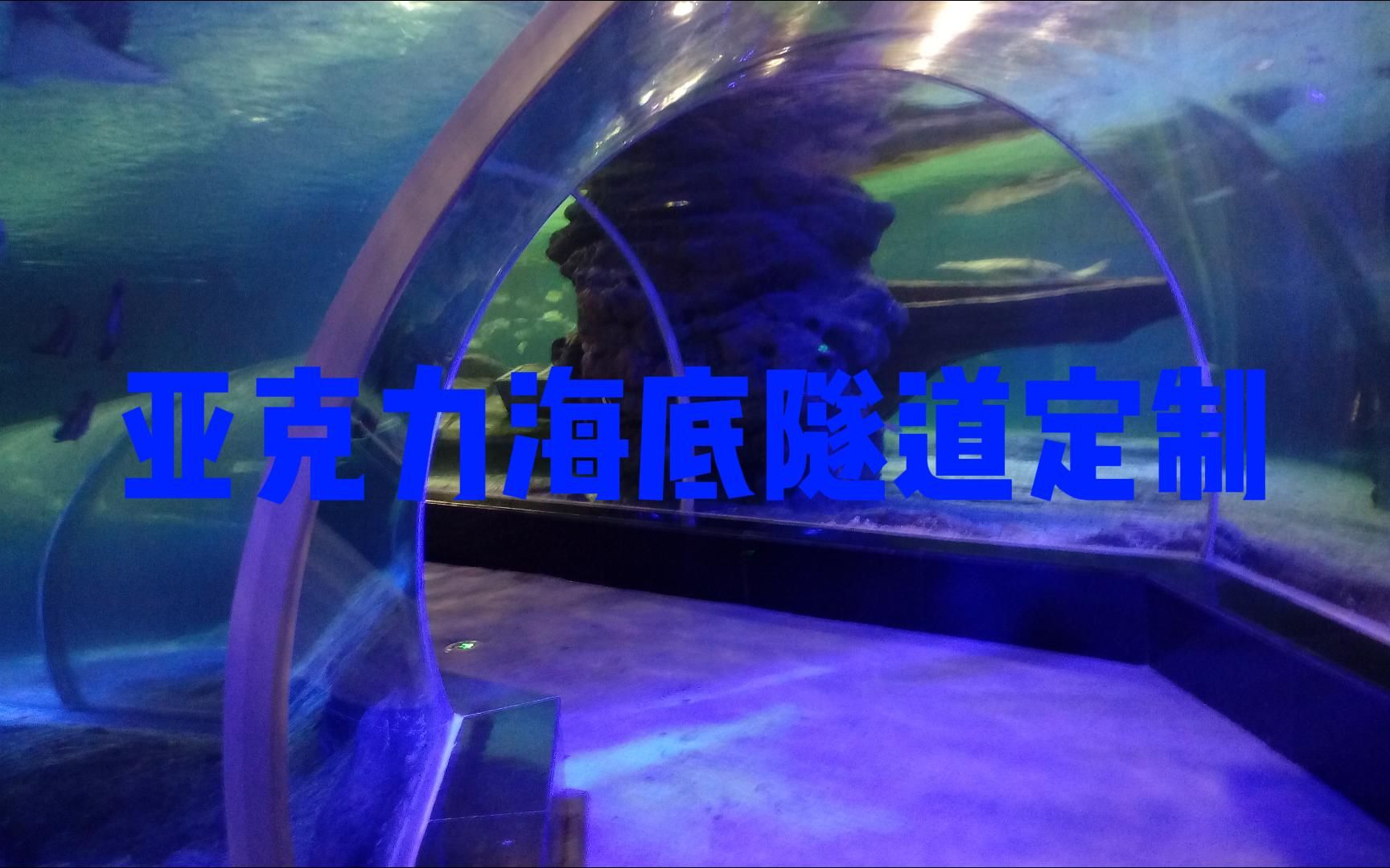 大型亚克力海底隧道定制