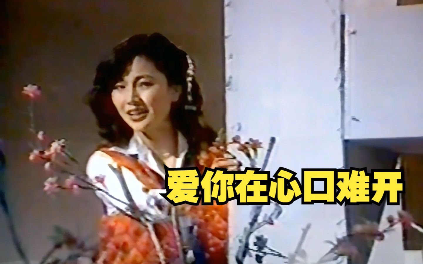 [图]凤飞飞 1981《爱你在心口难开》 中视《欢乐假期》棚内