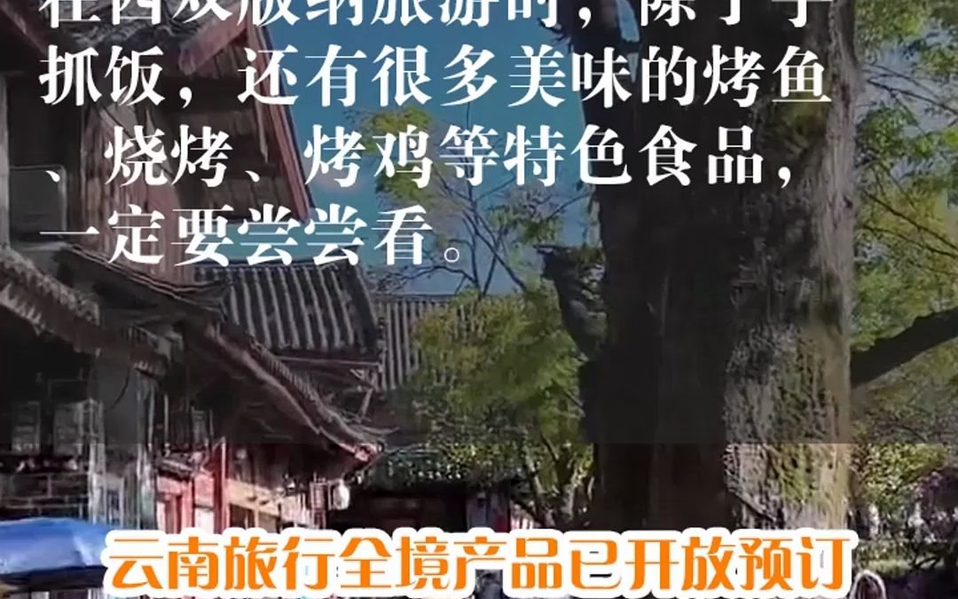 洛阳云南旅游攻略#云南旅游#旅行推荐官#云南旅游著名景点哔哩哔哩bilibili