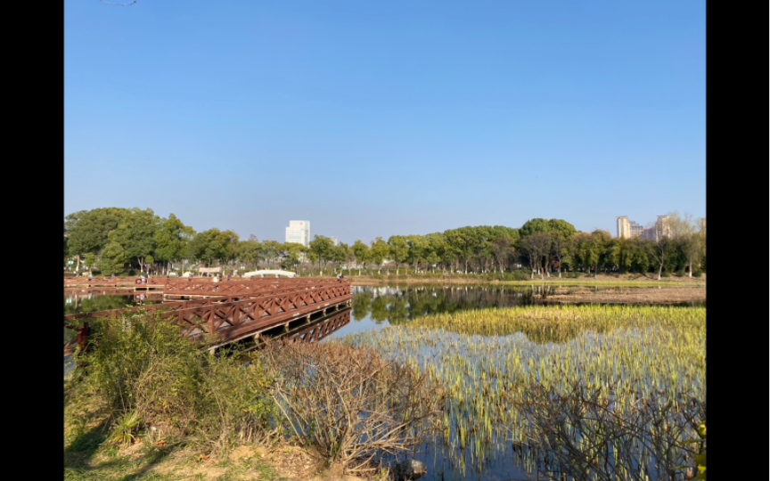 金银湖湿地公园