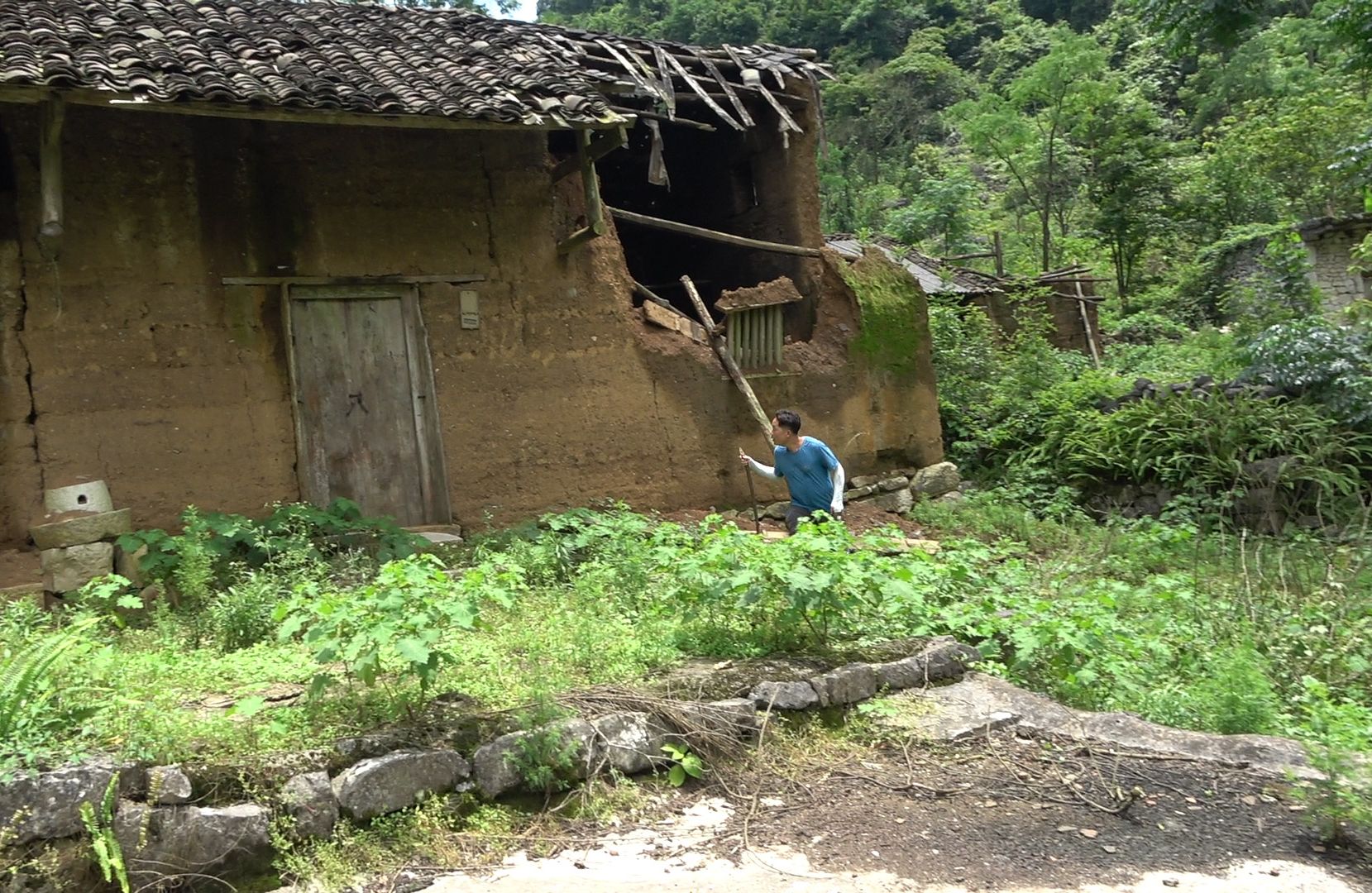 广西深山里发现一无人村,百亩田地杂草丛生无人种,人都去哪了哔哩哔哩bilibili