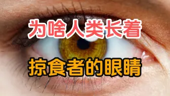 为什么人类明明体格不大，力量也不强，却长着一双掠食者的眼睛？