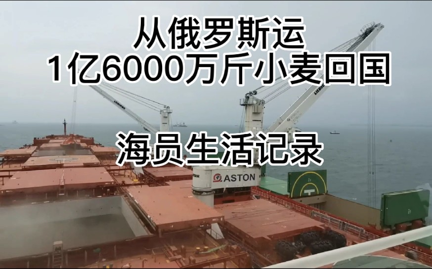 粮食价格上涨,从俄罗斯运1亿6000万斤小麦回国,海员生活记录哔哩哔哩bilibili