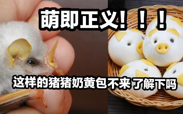 蝙蝠科普萌即正义会飞的奶黄包不来了解一下吗