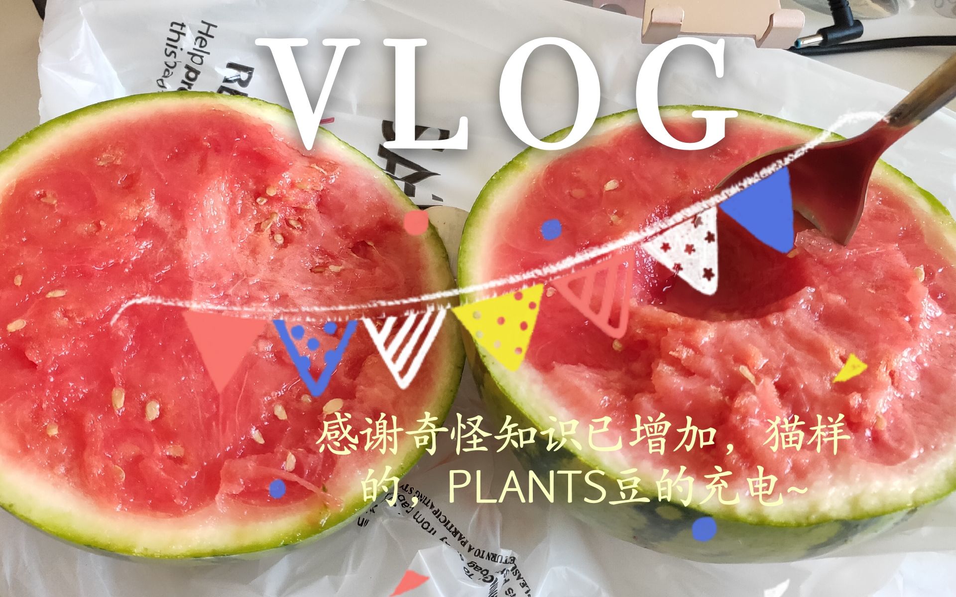 【奶茶】你 们 要 的 V L O G哔哩哔哩bilibili