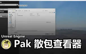 Descargar video: pak查看器