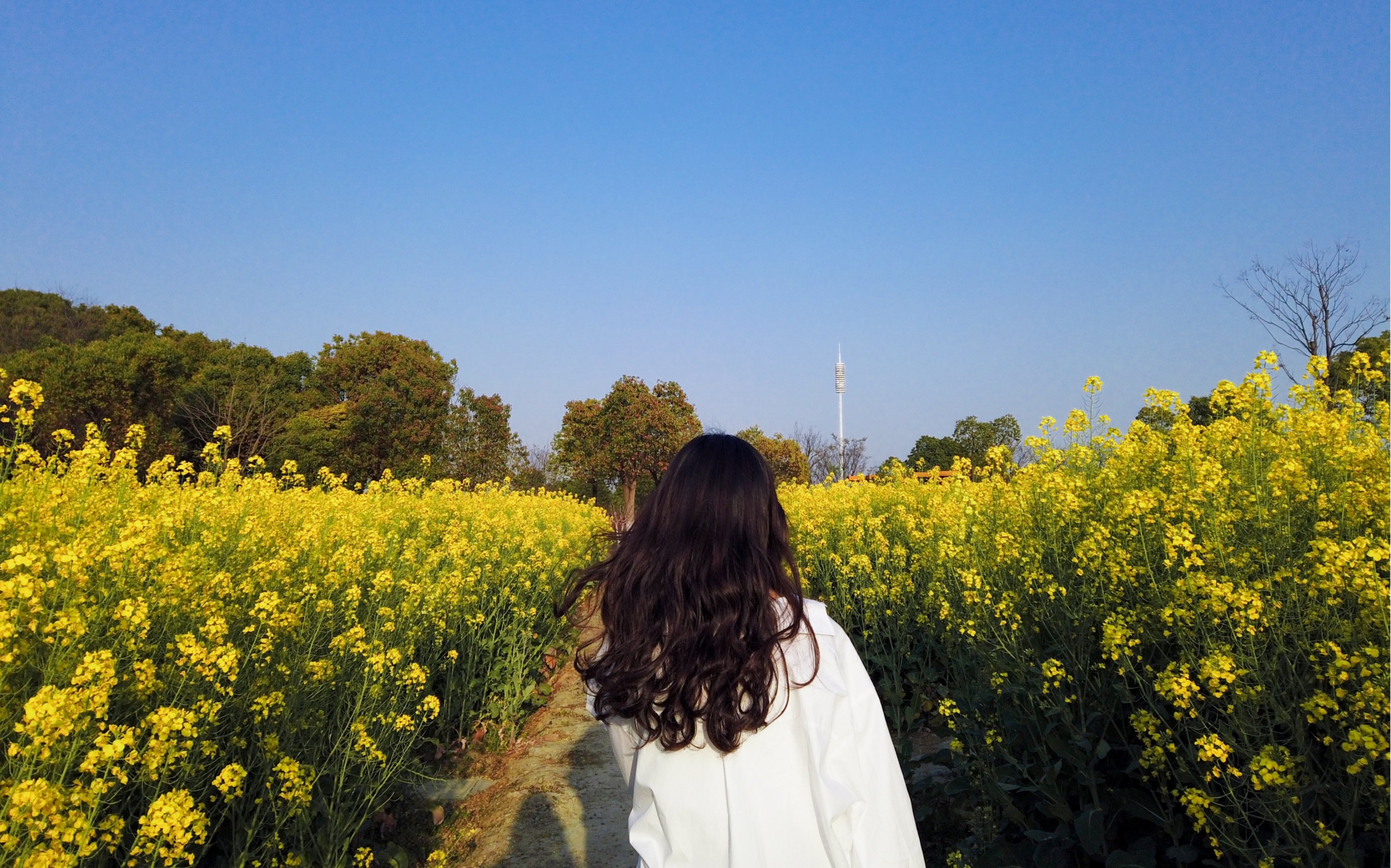 vlog2:乌云的第二个摄影vlog 我爱漂亮美眉 油菜花田你不爱吗!