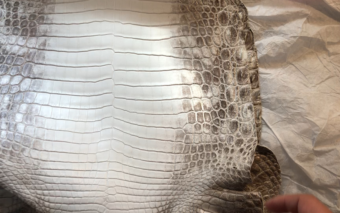 水染喜马拉雅鳄鱼皮
