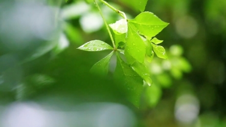 [图]曾师语录丨命是无法改变的，能改的只有运