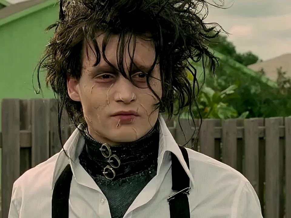 别人只看到他的刺,看不到他的心有多柔软.剪刀手爱德华