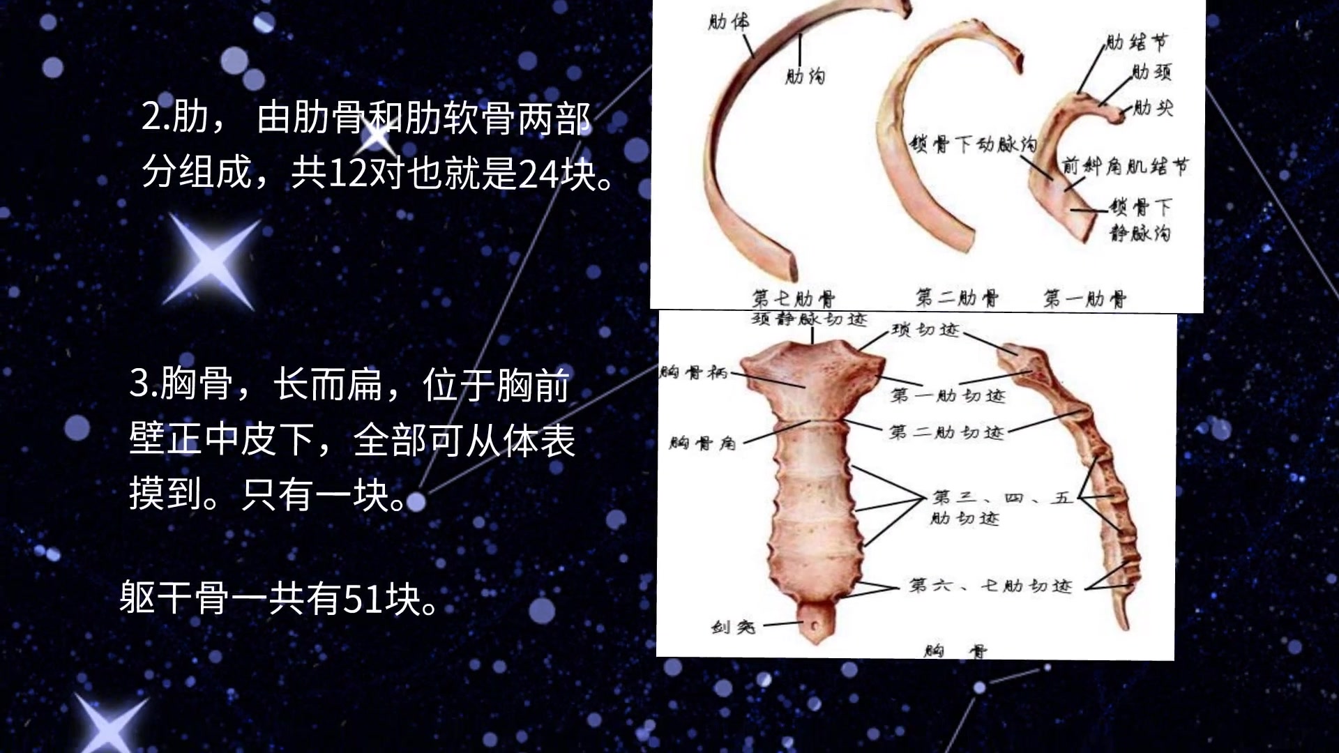 【制作动态ppt软件】涨知识了!人体解剖学运动系统骨与骨连接哔哩哔哩bilibili