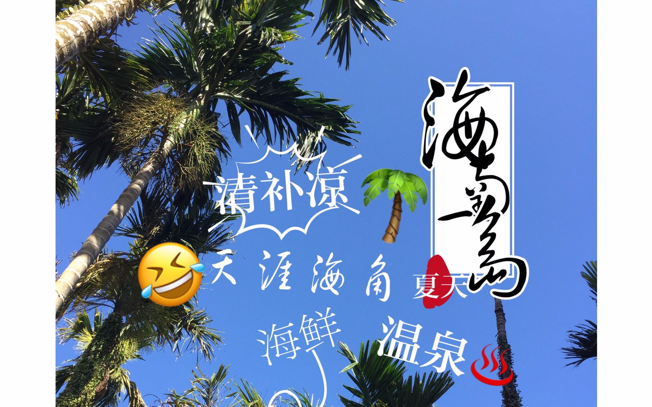 夏天的海南岛|亚热带雨林|在环岛高速上Let's go home|zzzhong哔哩哔哩bilibili