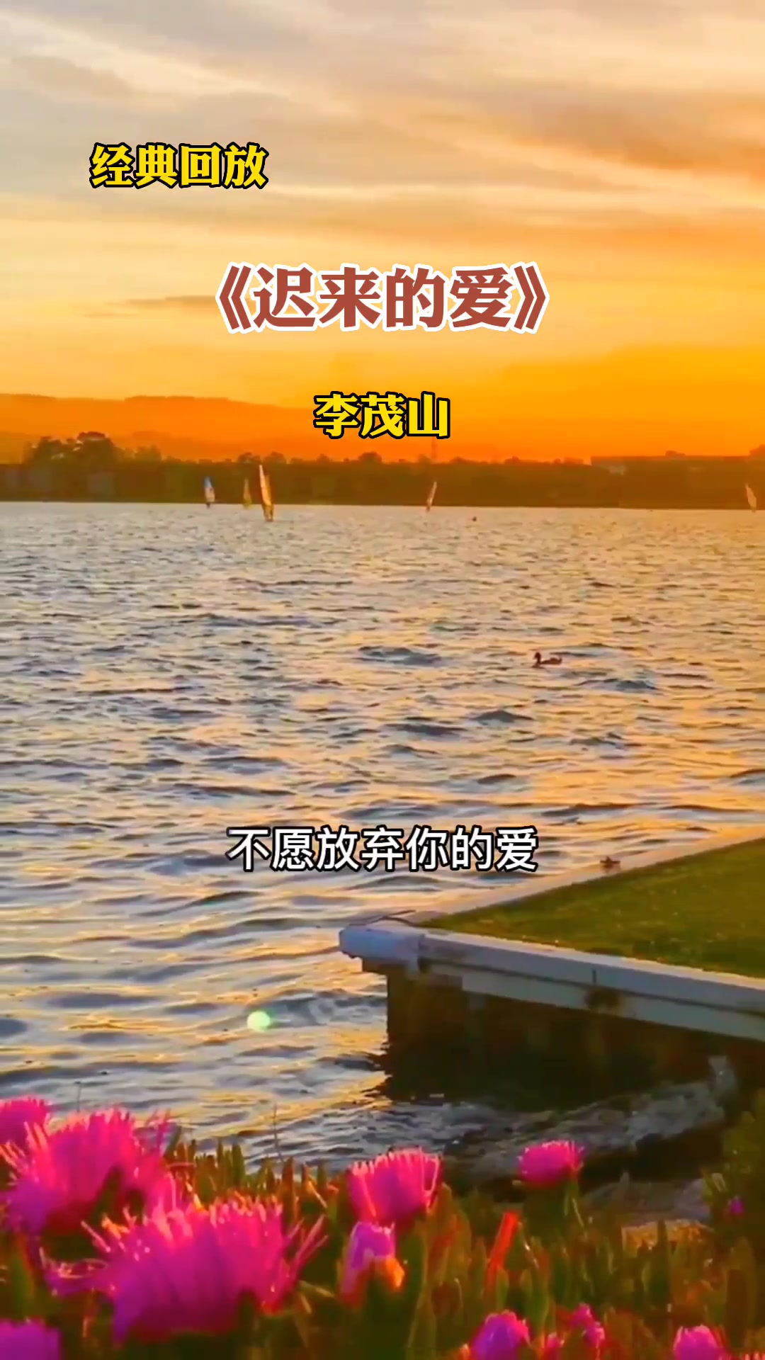 李茂山迟来的爱演唱会(李茂山的迟来的爱简谱歌谱)